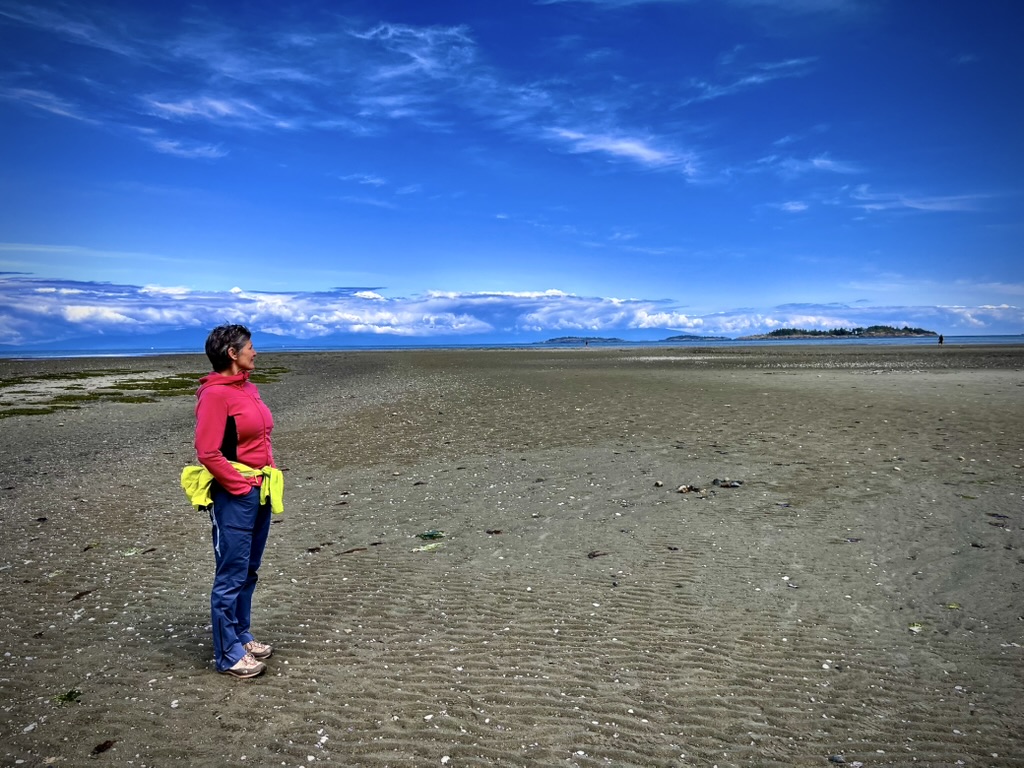 Mosaïque du Pacifique (1ère&nbsp;Partie)