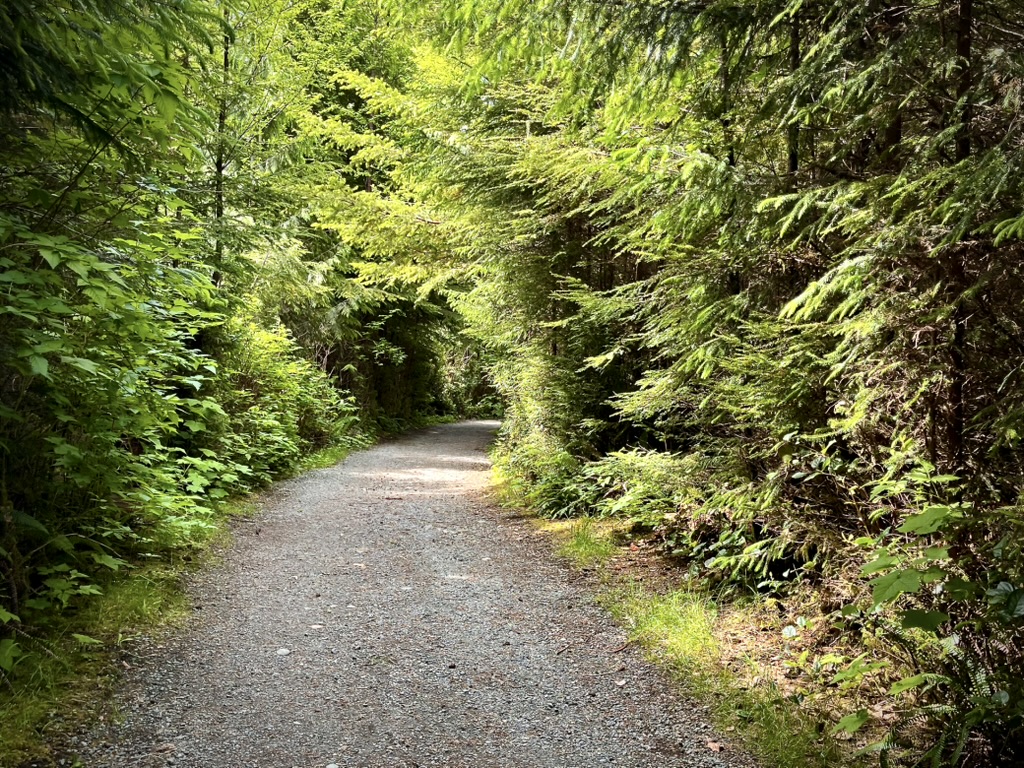 Mosaïque du Pacifique (2e&nbsp;Partie)