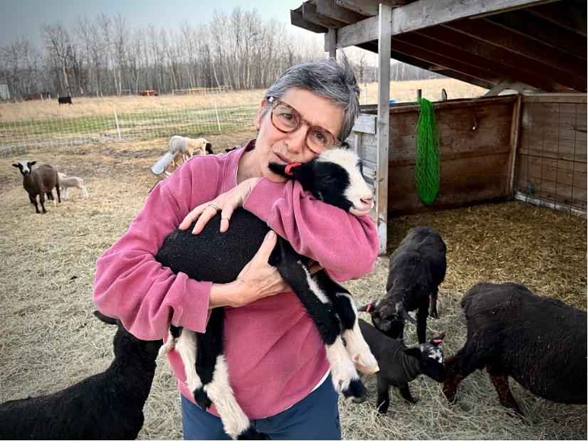 L’aventure…droit devant !