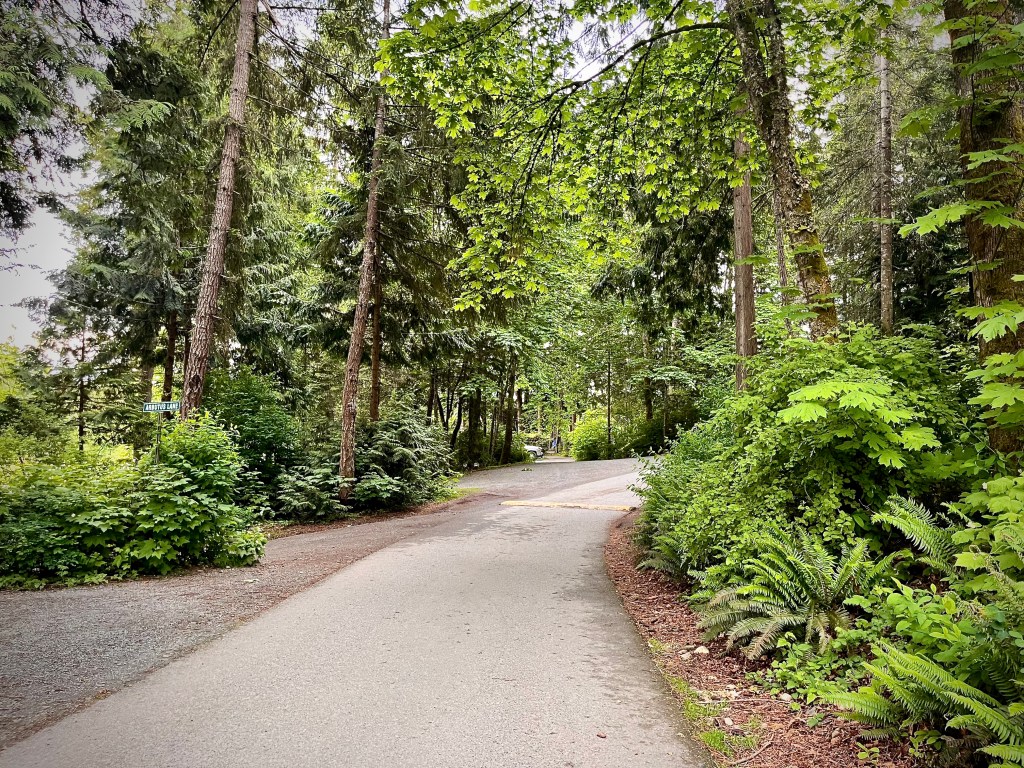 Entre forêts et&nbsp;rivages